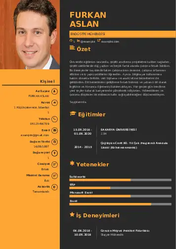 Endüstri Mühendisi CV Örnekleri cv indir